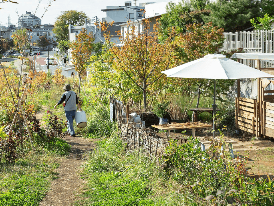 自然と人との共生をテーマとした「シモキタ園藝部」